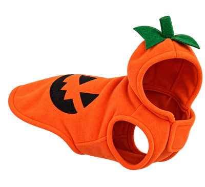Regular Cat Costumes
