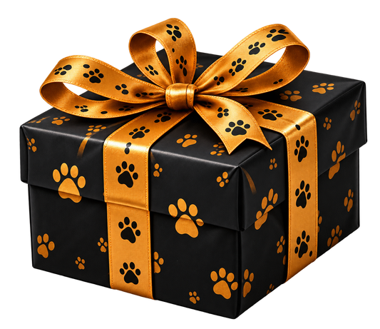 A Special Halloween Gift For Your Cat